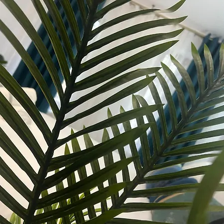 Apartment Uniri Urban Escape Craiova