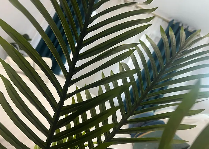 公寓 Uniri Urban Escape 克拉奥华